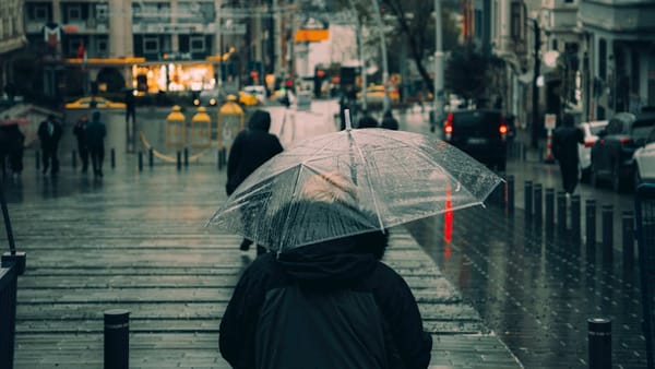 Why You Should Buy a Quality Umbrella Once